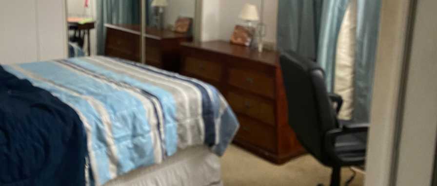 Shauna's room