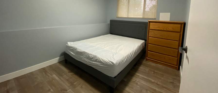 bishu's room