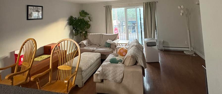 Ayden Mauro's room