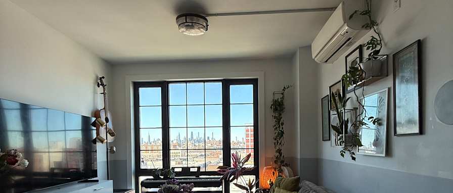 Vincent's room