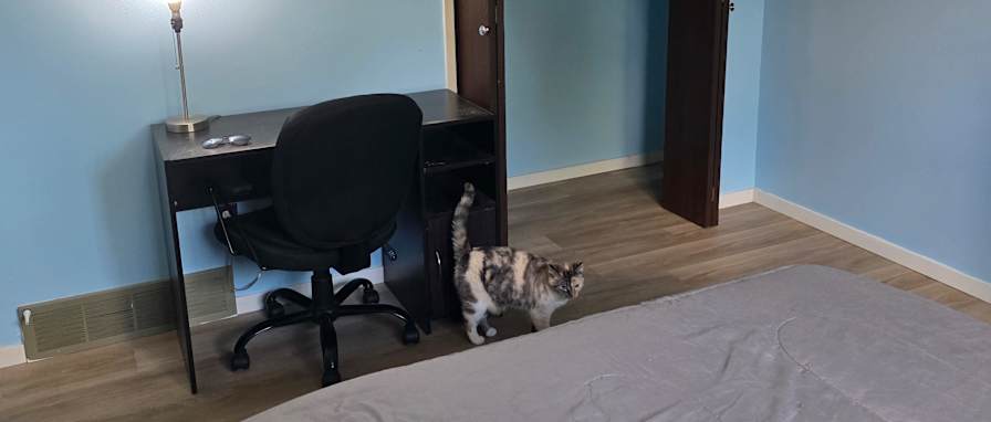 Vickianne Caswell's room