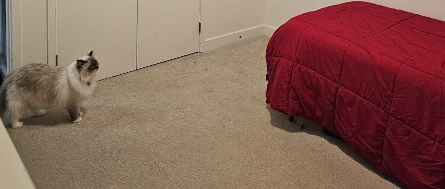 Jessie Valverde's room