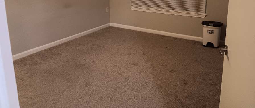 Connor's room