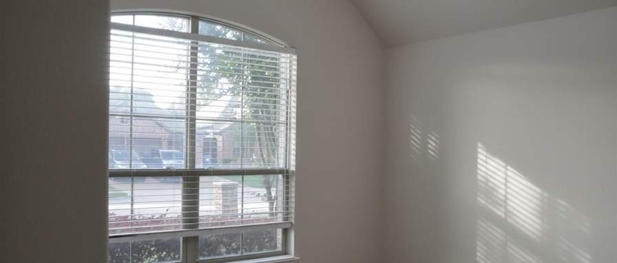 Vidya's room