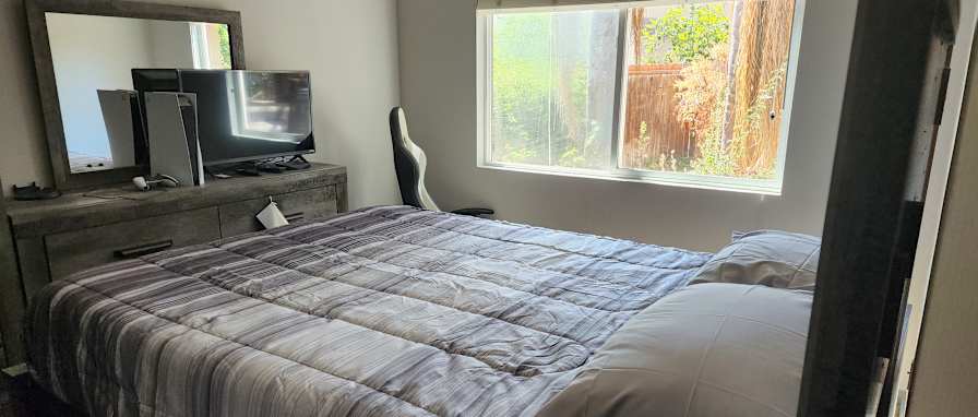 paul lynch's room