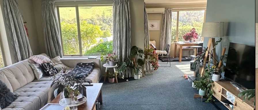 Devany Markovic's room