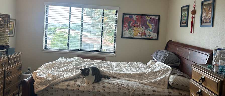 Cassidy's room