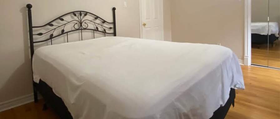 Zofia's room
