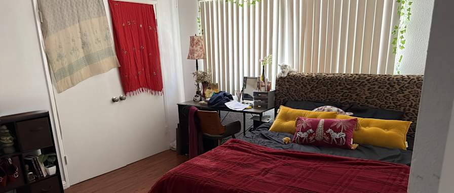 Ashley Costello's room