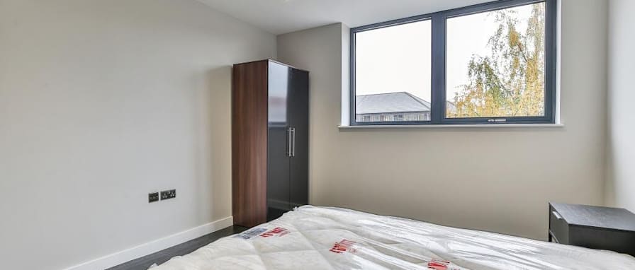 Anna Collins's room