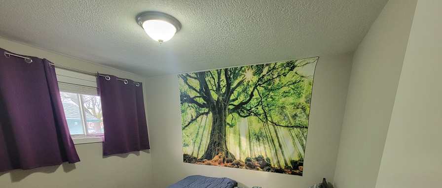 SHAT (pronounced Shot)'s room