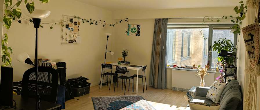 Arya's room