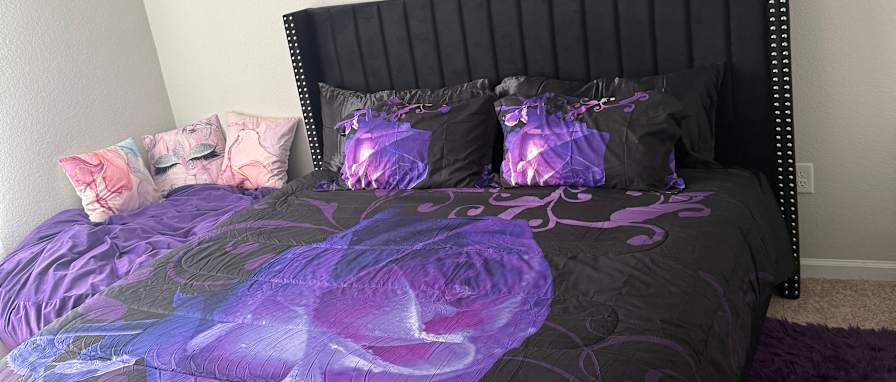 Aallisha's room