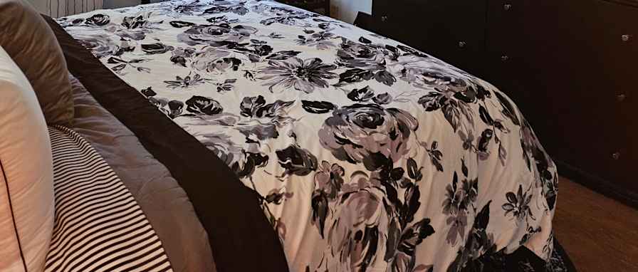 Renee's room