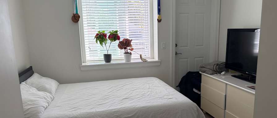 Stefan's room