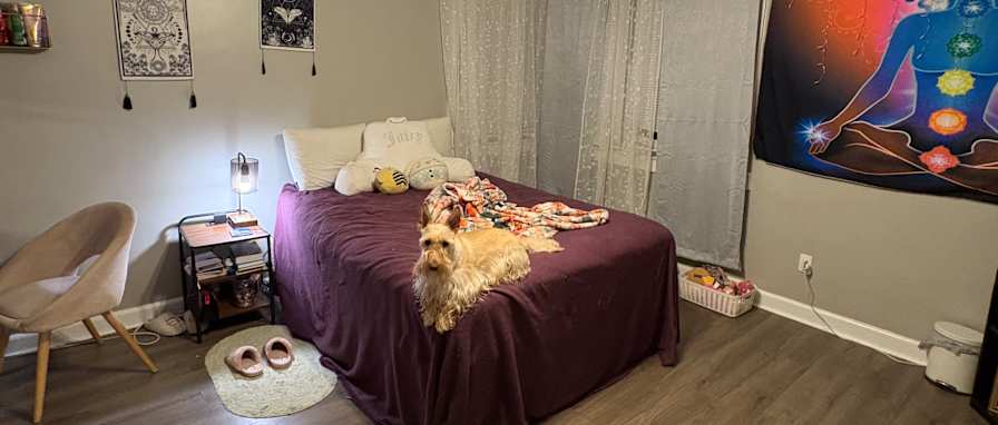 Chanelle's room