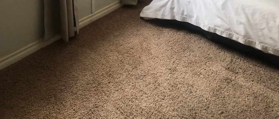 Carla's room