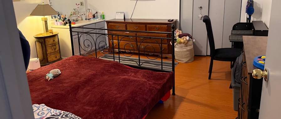 Negin's room