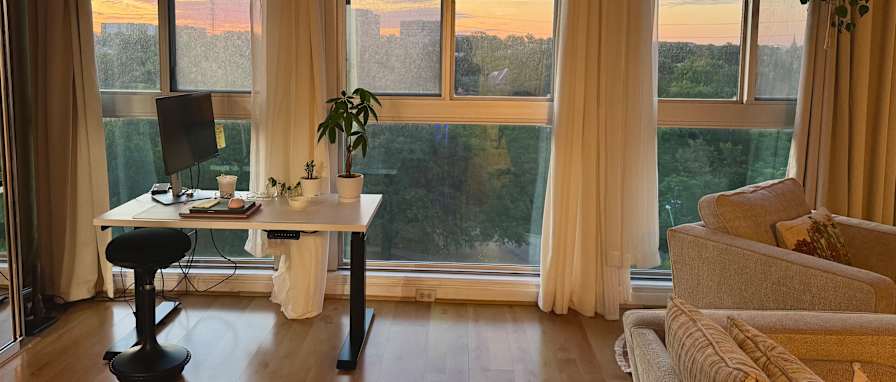 Cat's room