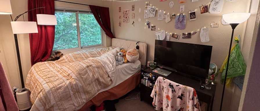 Noah's room