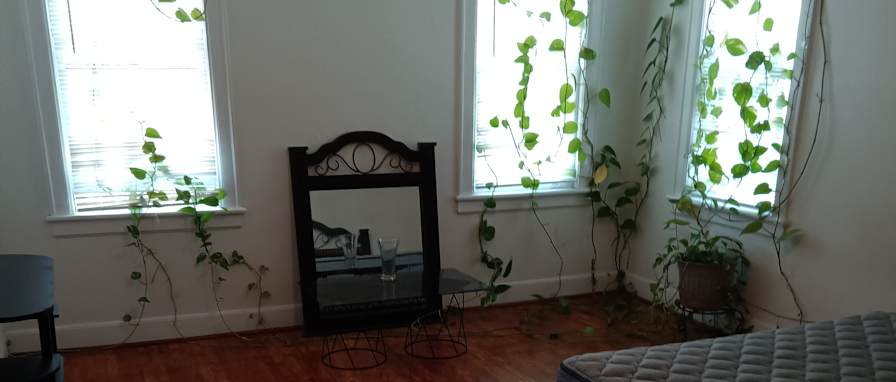 Paul's room