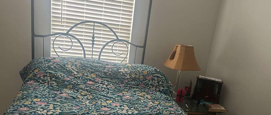 Mary's room