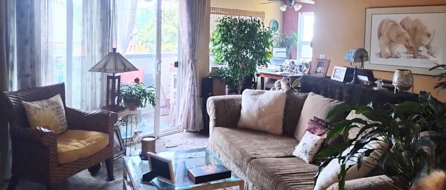 Mary's room