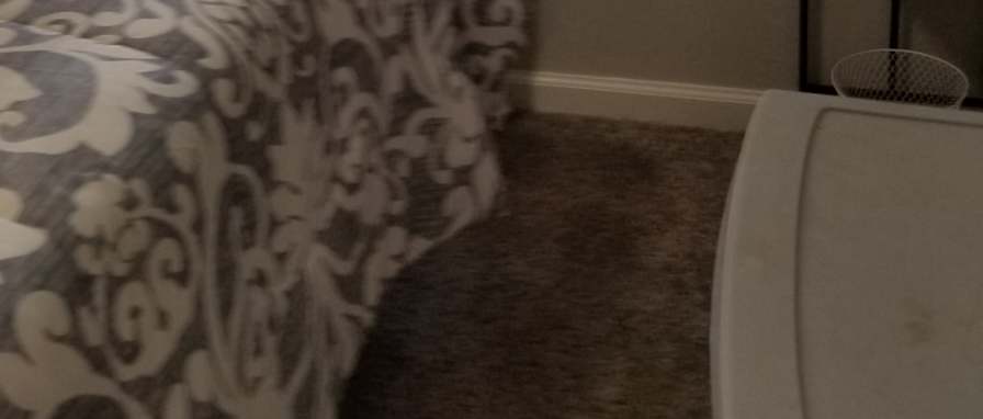 Cindy's room