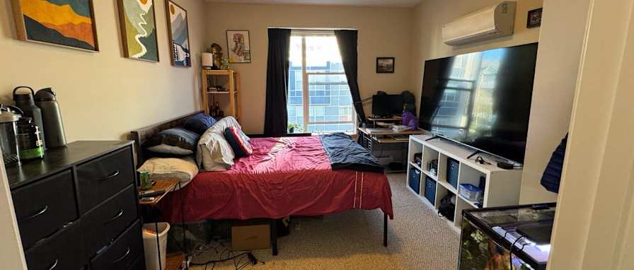 Seth's room