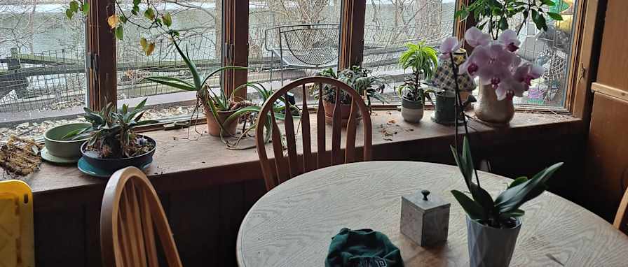 Paul S Santschi's room