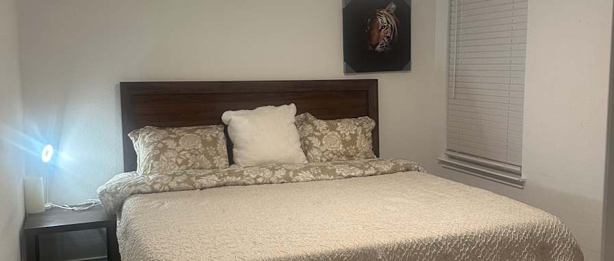 Lewis's room