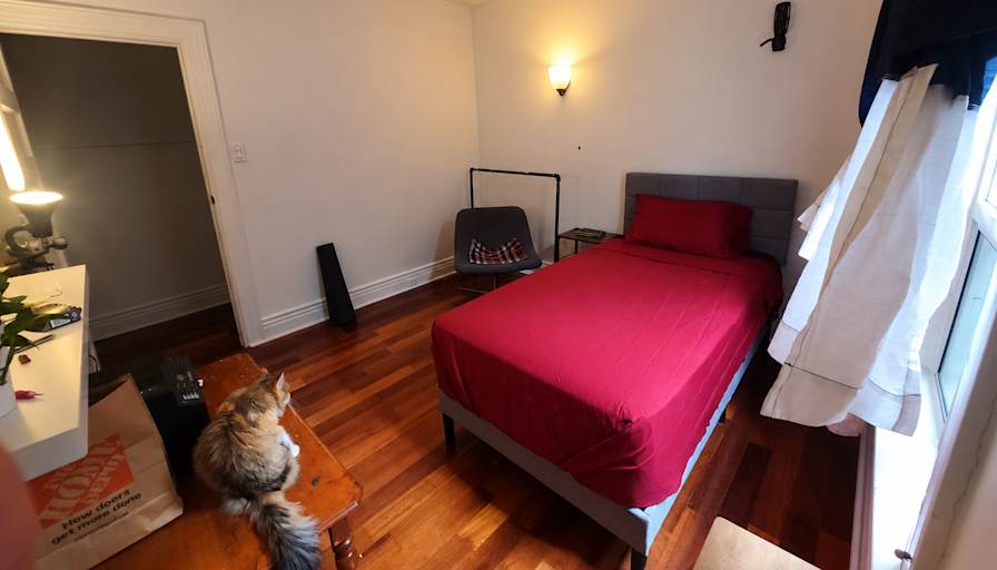 Alyssa's room