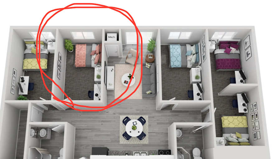 Serour's room