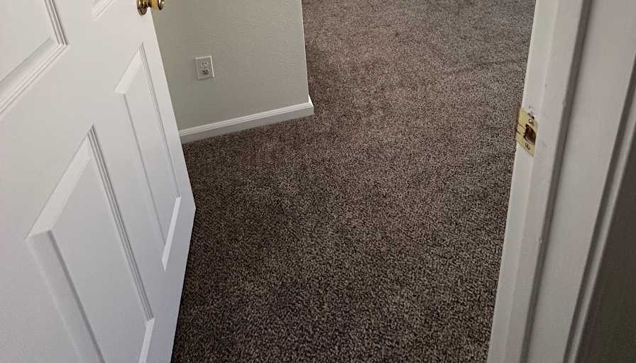 Zoie's room