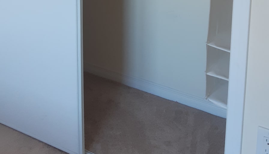Shaheen's room