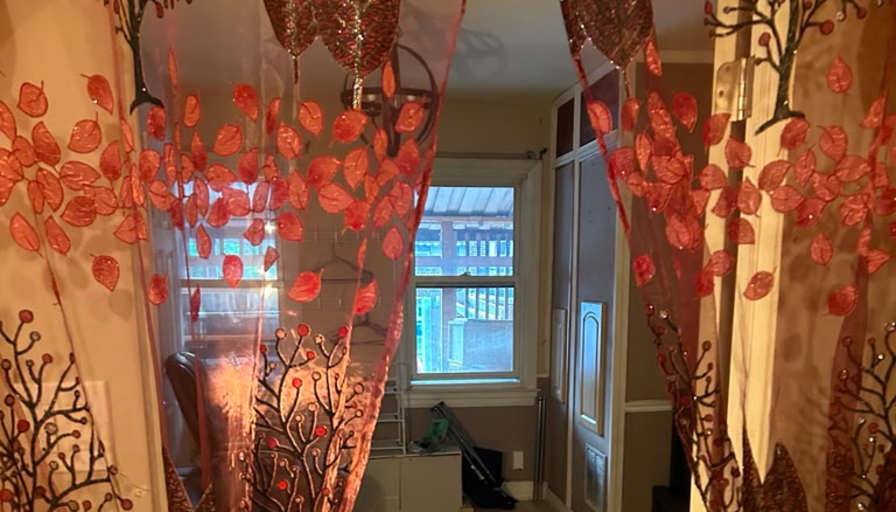 Arul Arulanantham's room