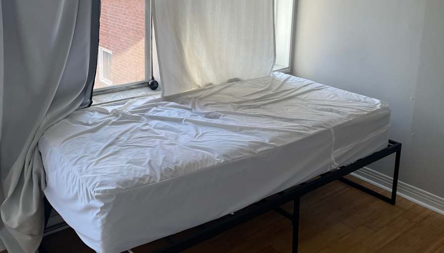 C Y's room