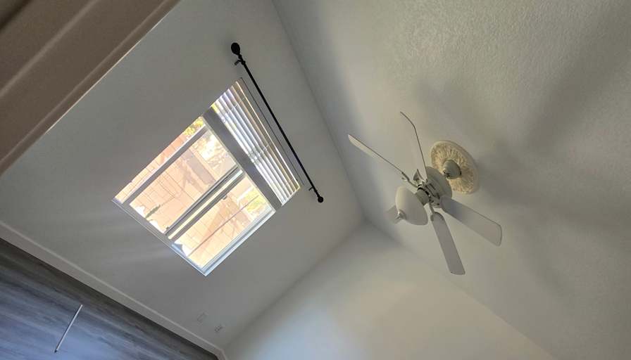 Ellie's room