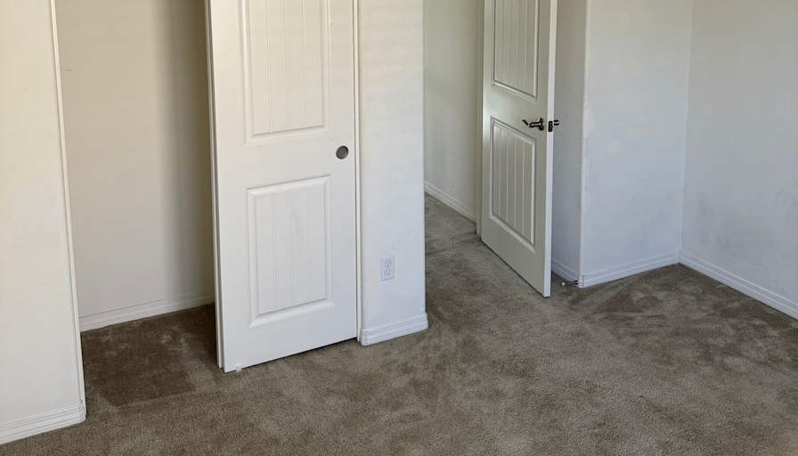 Domonique's room