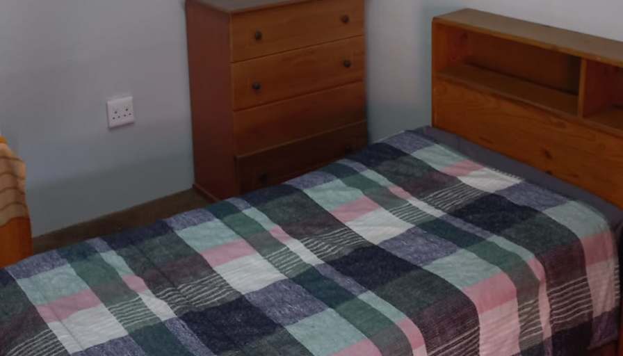 Willows on Bartlett's room
