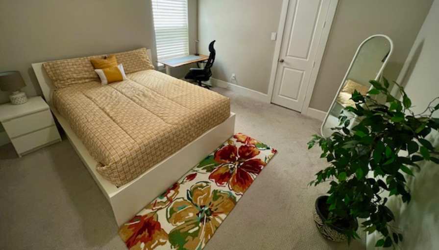 Suri's room