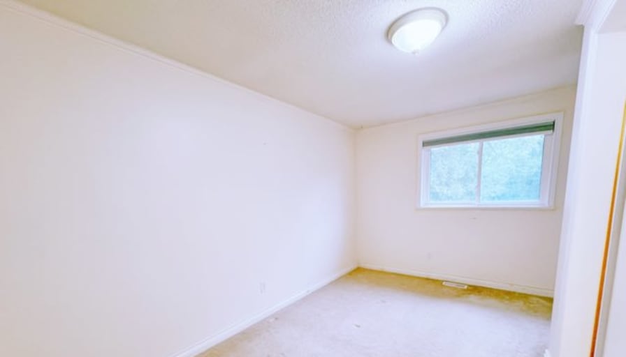 Lily's room