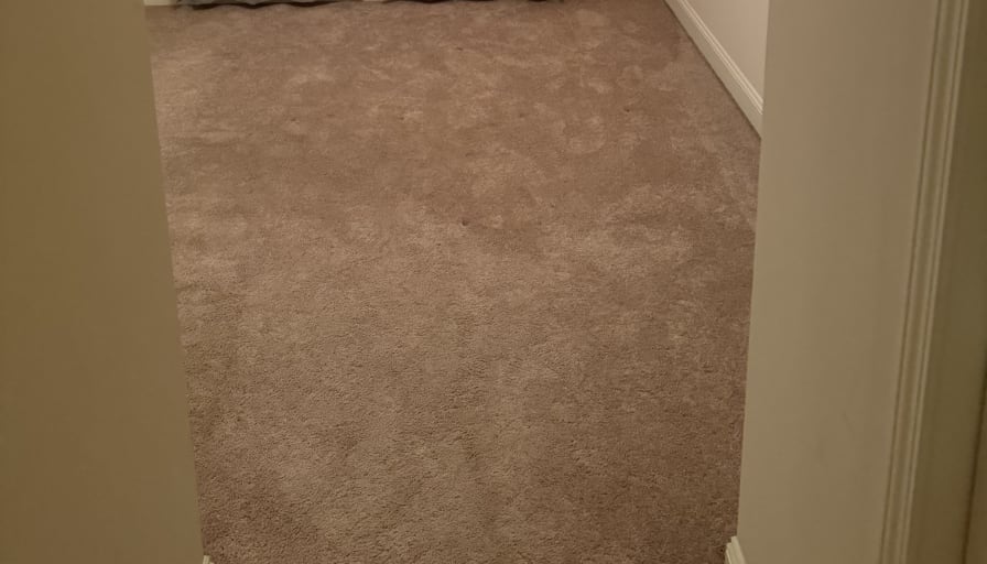 Leo's room
