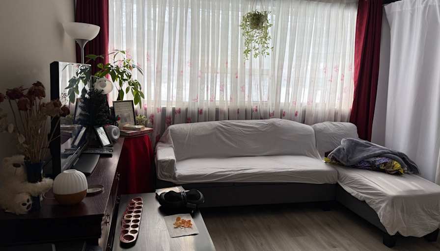 Edelyn's room