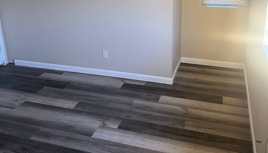 Jayne's room