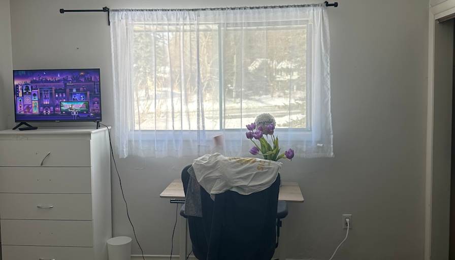 Rose's room