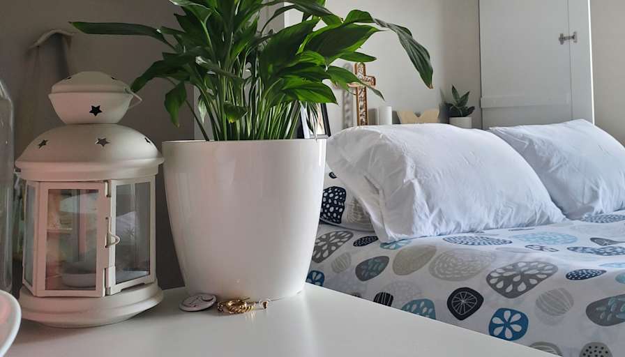 Jay's room