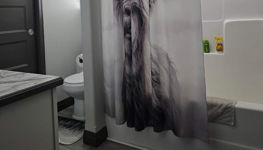 MARSHA MARKS's room