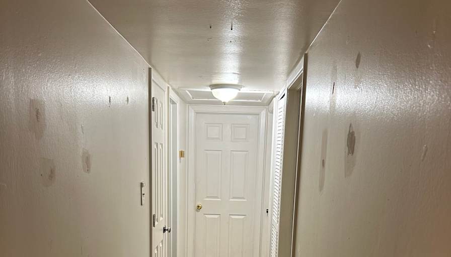 Daniel Brown's room
