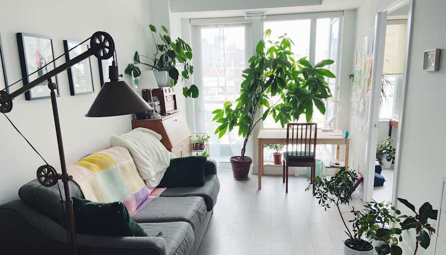Ann's room